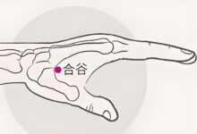 合谷穴