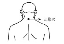 大椎穴