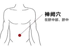 神阙穴