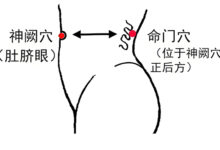 命门穴