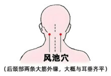 风池穴