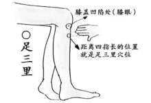足三里穴